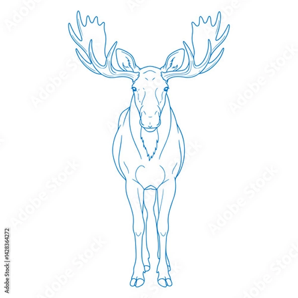 Obraz Minimalist hand drawn moose illustration front facing vector design in clean simple line art ideal for modern wildlife themes