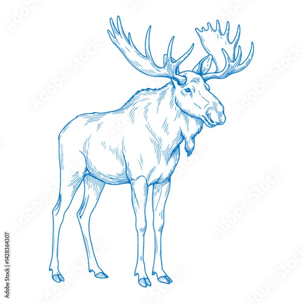 Obraz Elegant minimal hand drawn moose illustration in clean vector style showcasing simple monoline wildlife art for modern design