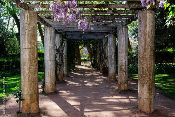 Obraz Rustic pergola in a lush garden in Caldas da Rainha, Portugal