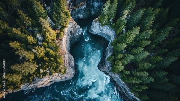 Fototapeta High-angle view of a rushing river carving through a rocky gorge surrounded by dense forest.