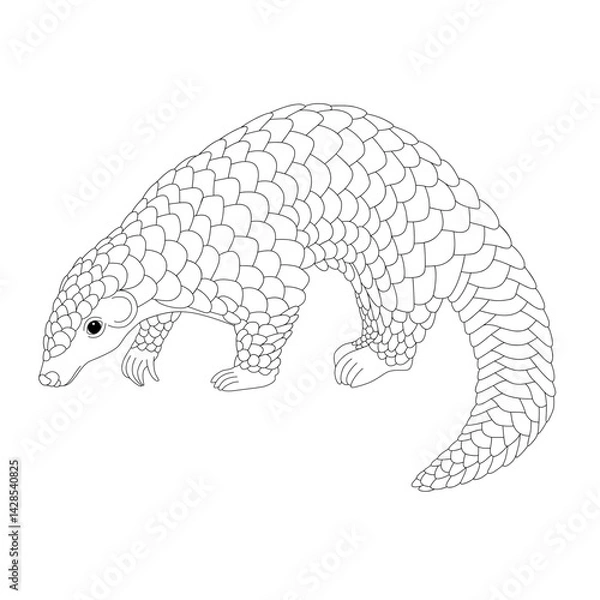 Obraz Pangolin vector illustration drawing graphic