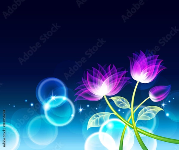 Obraz Flower Background_Night and Flowers