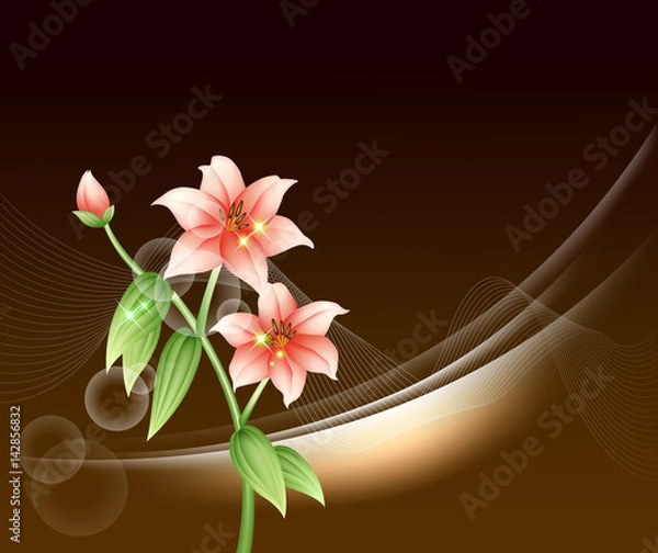 Obraz Flower Background_Flowers and lines