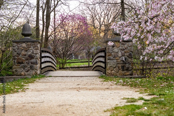 Obraz Spring time park walking path with bride and flowering trees