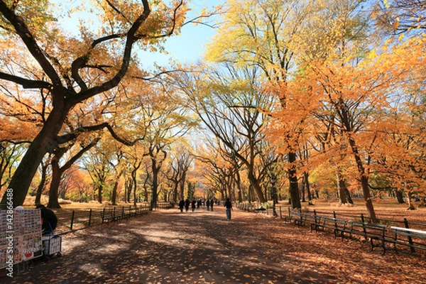 Fototapeta マンハッタン　都市風景