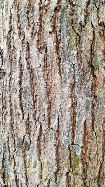 Fototapeta A close-up view of a tree bark showcasing its intricate texture and natural patterns, embodying the raw beauty of nature