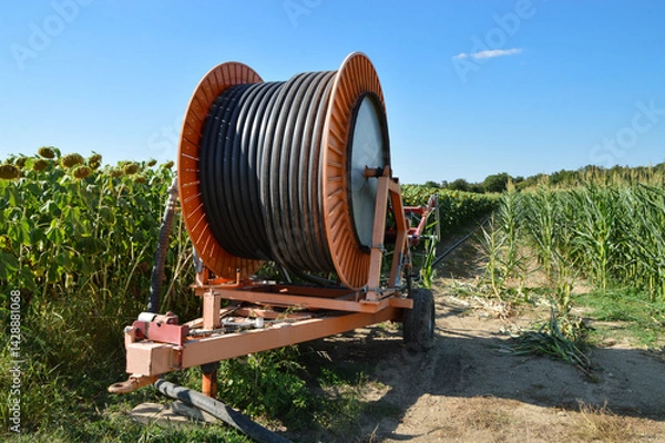 Obraz Agricultural irrigation system with a big hose reel in a sunflower field and cornfield during summer.