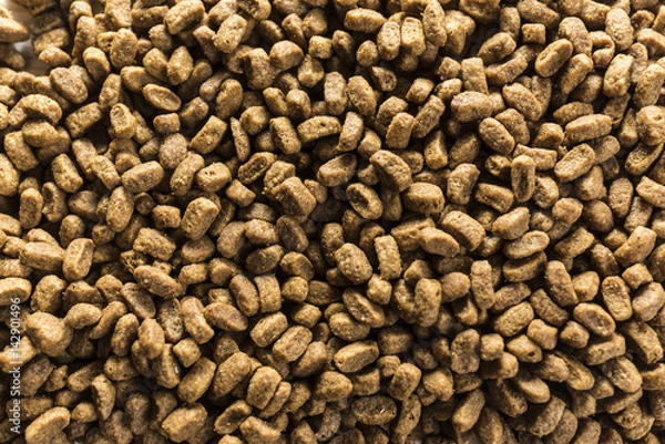 Obraz Dry pet nutrition close up background