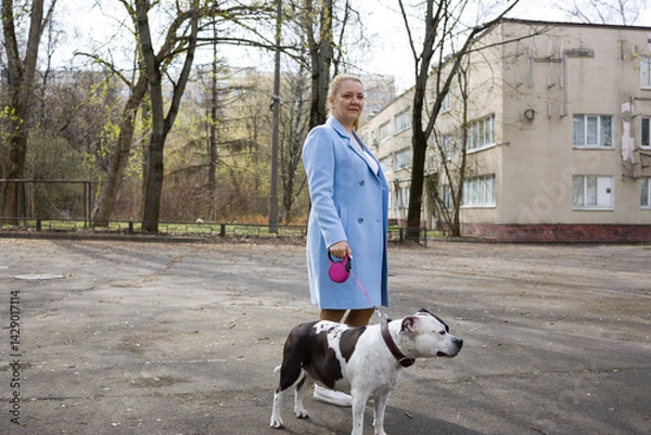 Fototapeta A woman in a blue coat walks a black and white dog on a leash