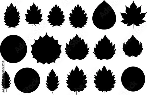 Fototapeta set of autumn leaves