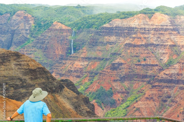 Fototapeta A man enjoying the beautiful views of the Waimea Canyon lookout, Kauai island, Hawaii