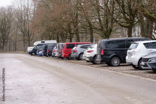 Fototapeta Multiple vehicles parked alongside a tree-lined road in a quiet area during winter