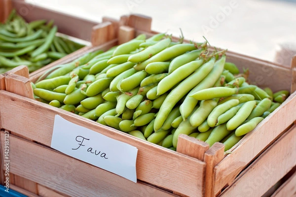 Fototapeta Fresh green fava beans stacked in a wooden crate at a market with handwritten label