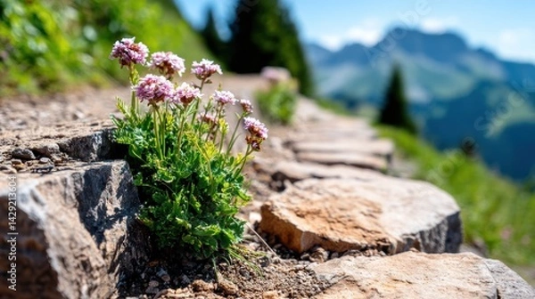 Obraz Alpine flowers flourish by a rocky path with misty peaks in the background