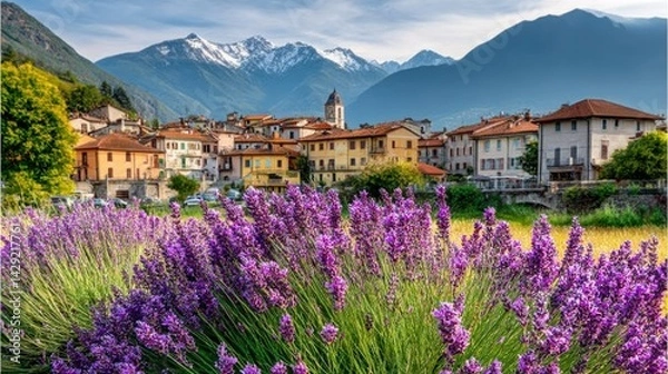 Obraz Lavender fields bloom near a quaint Italian village with distant mountains in soft focus