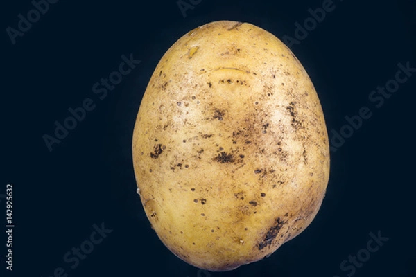 Obraz potatoes on a black