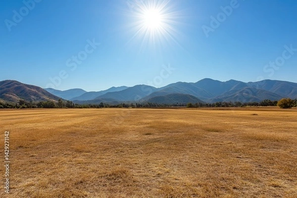 Obraz Sunny, dry field with distant mountains.  Vast, golden plain stretching to a hazy mountain range under a clear blue sky.  Bright sun highlights the landscape
