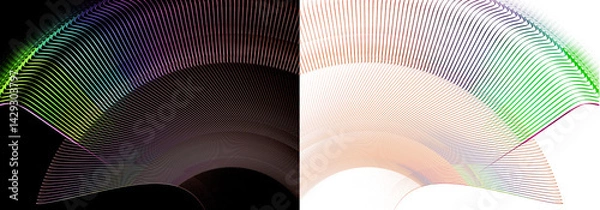 Obraz Fans of thin multi-colored lines are located symmetrically on white and black backgrounds. Two abstract fractal backgrounds in one. 3D rendering. 3D illustration.