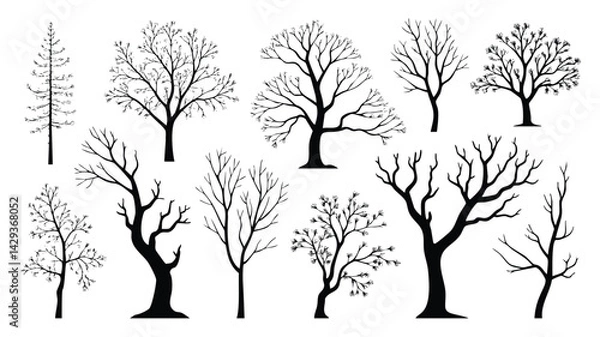 Fototapeta A set of elegant black and white silhouettes of various tree types, ideal for graphic design, illustrations, and seasonal projects