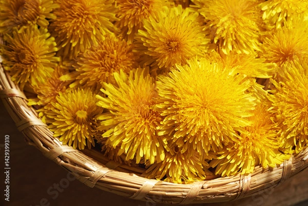 Fototapeta Dandelion flowers in a wicker basket, closeup