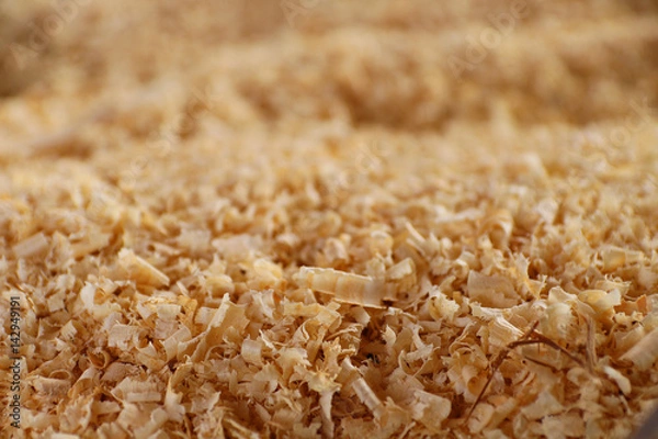 Fototapeta Holzspäne 
