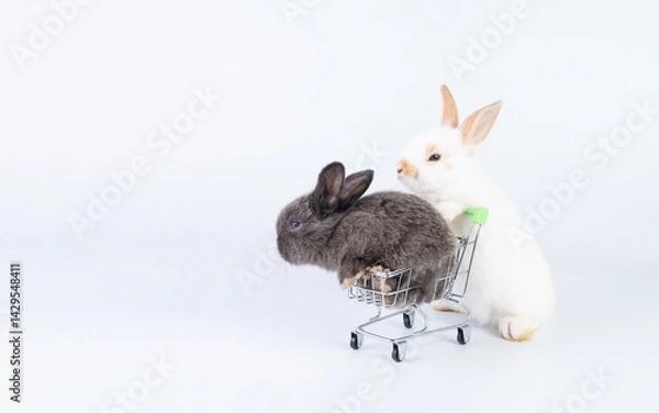 Obraz Adorable rabbit ears bunny pushing shopping cart with newborn gray cuddly rabbit walking together on isolated white background. Mammal rabbit push shopping cart. Easter animal bunny family concept.