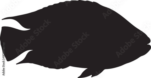 Obraz Napoleon Wrasse Silhouette