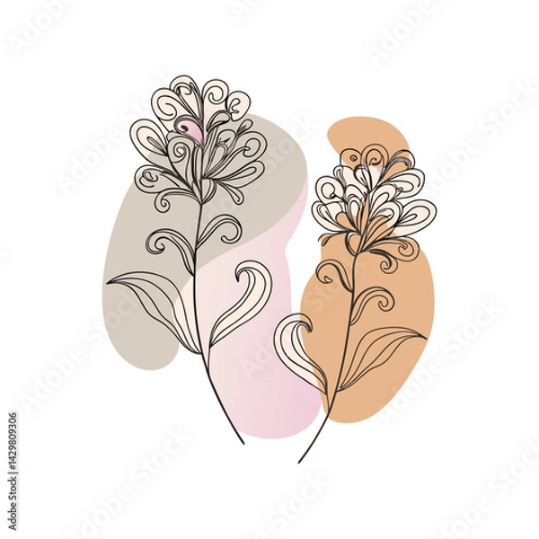 Fototapeta vector illustration of an abstract flower