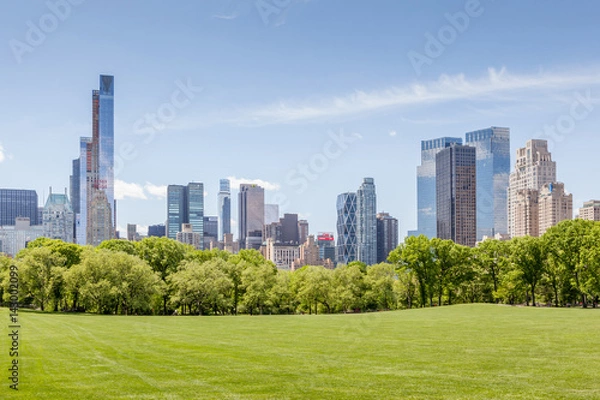 Fototapeta Manhattan skyline view from Central park in New York.