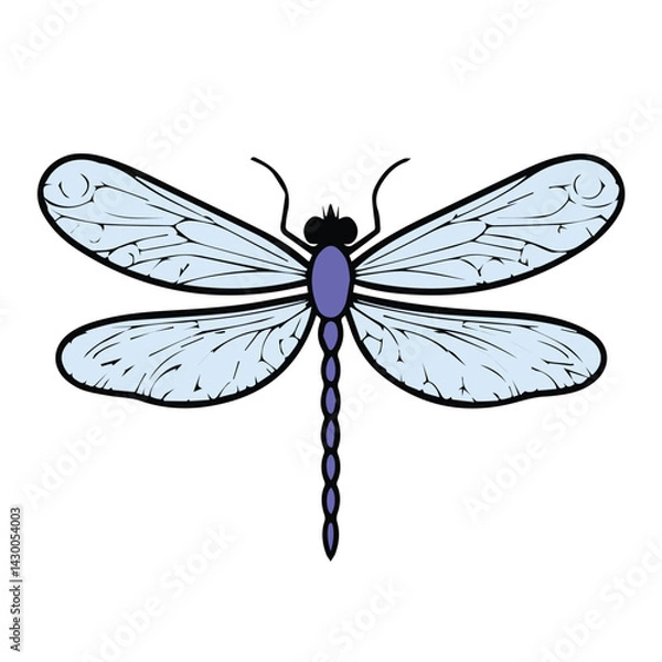 Obraz dragonfly vector illustration