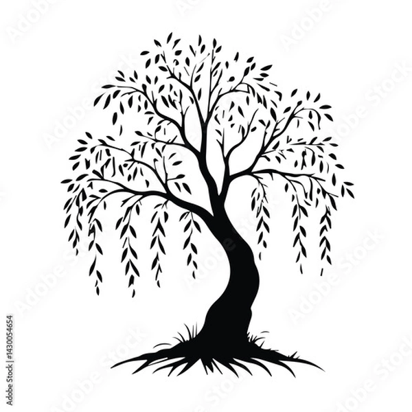 Fototapeta Elegant Black and White Silhouette of a Weeping Willow Tree