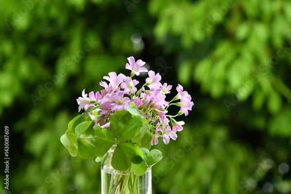 Obraz 雑草の小花