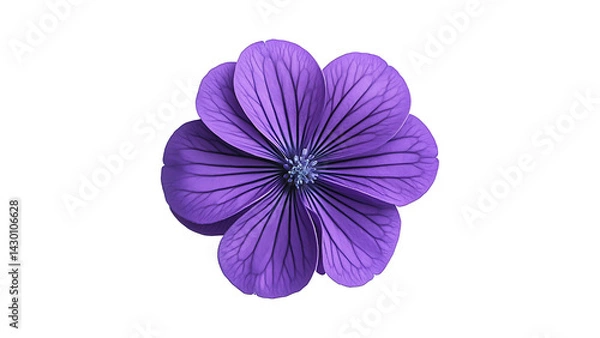 Obraz a violet flower on transparent background PNG