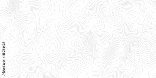Fototapeta White topography topology vector white background fresh contour map texture. white seamless pattern Abstract background with a wave Topography and geography map grid abstract backdrop.