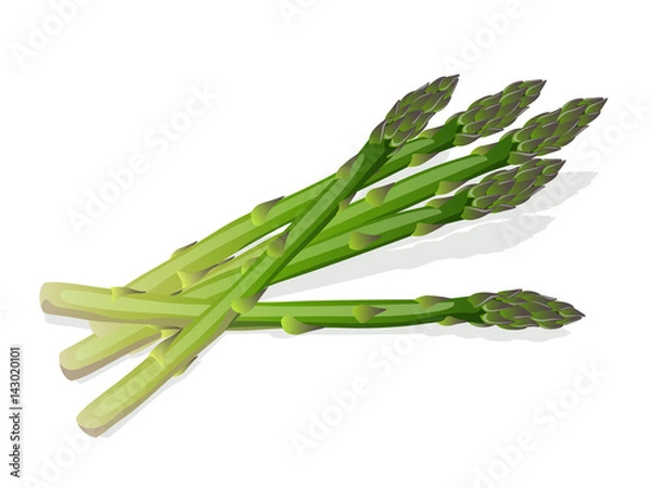 Obraz Zielone szparagi