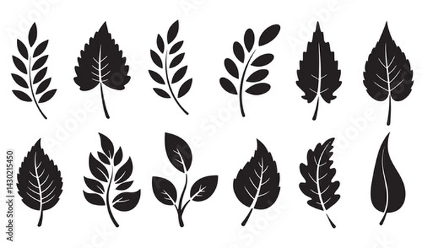 Fototapeta Decorative flower and leaf ornament silhouette bundle for wedding invitation design botanical branding floral crafts nature inspired projects and elegant natural themed artwork
