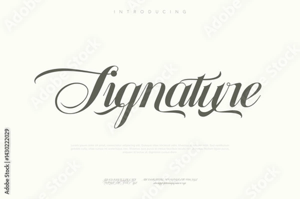 Obraz Hand drawn Signature Hand drawn vector alphabet. Modern monoline signature script font. Elegant Signature Font. Best Alphabet Beautiful Calligraphy Signature Font lettering handwritten