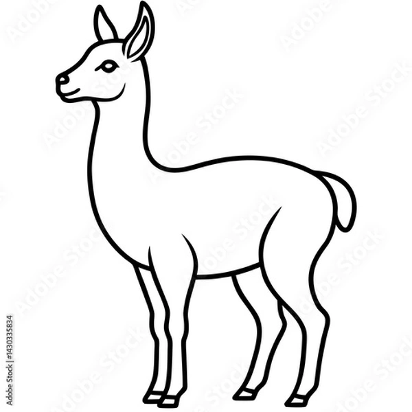 Fototapeta Vicuna in a Single Stroke Vector Design