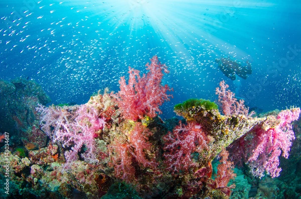 Fototapeta Wonderful and beautiful underwater world with corals, fish, scuba diver and sunlight