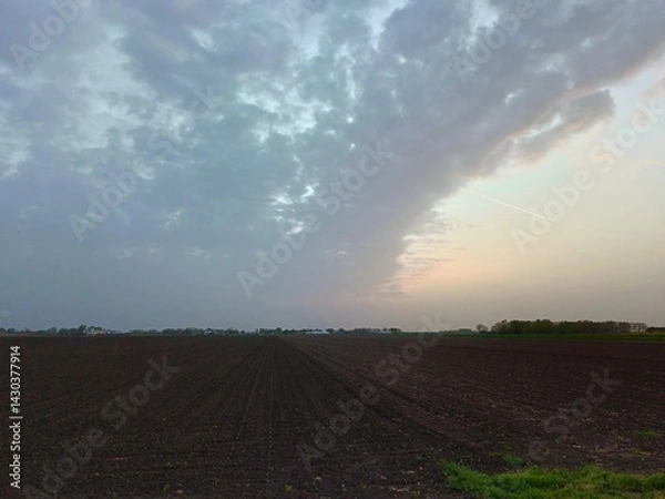 Obraz plowed field at sunset