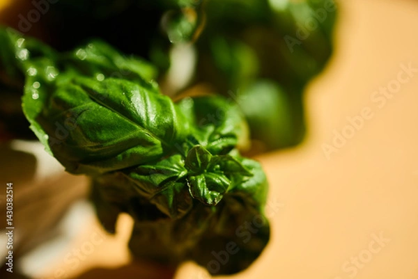 Obraz Bright green basil leaves are displayed with intricate details, showcasing their fresh texture and vibrant color. Natural light enhances the appeal, emphasizing the leaves' sheen.
