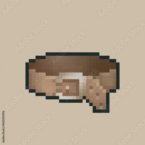 Fototapeta A belt equipment in pixel art style with isolated background