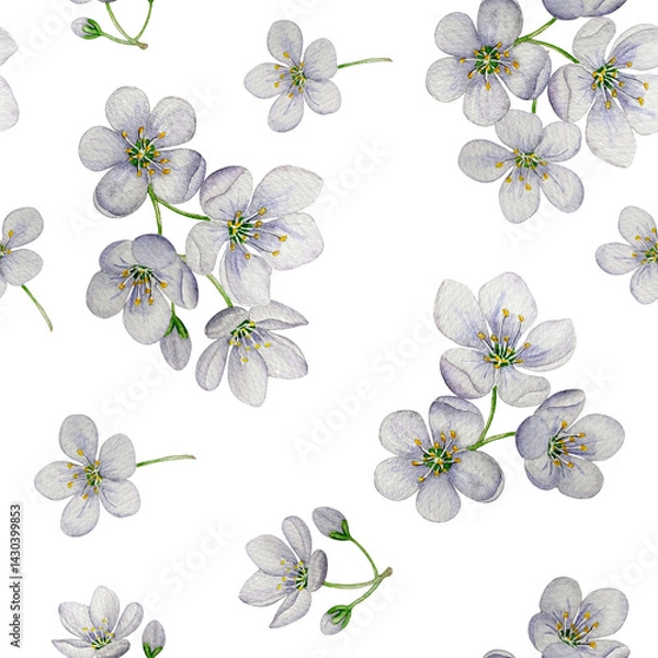 Obraz Seamless pattern of apple blossoms. Watercolor illustration. White background. For design, backgrounds