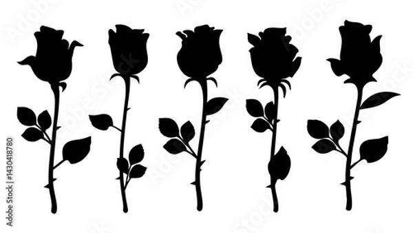 Fototapeta set of rose with leaves silhouette vector on white background
