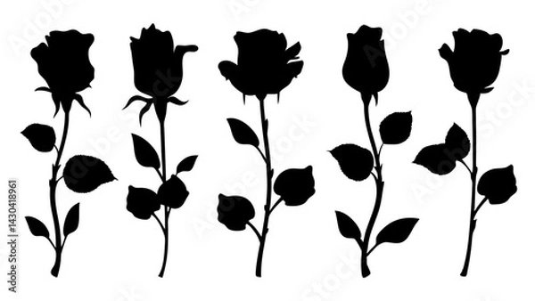 Fototapeta set of rose with leaves silhouette vector on white background