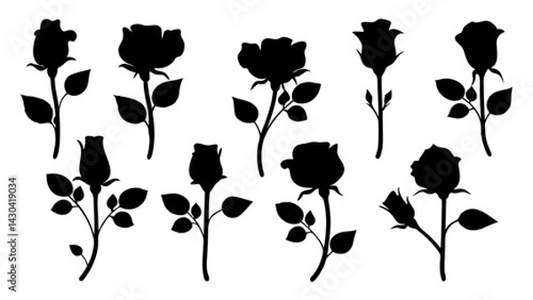 Fototapeta set of rose with leaves silhouette vector on white background