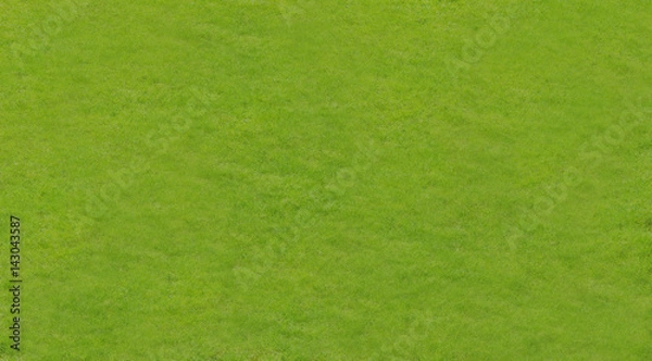 Obraz Background with green grass