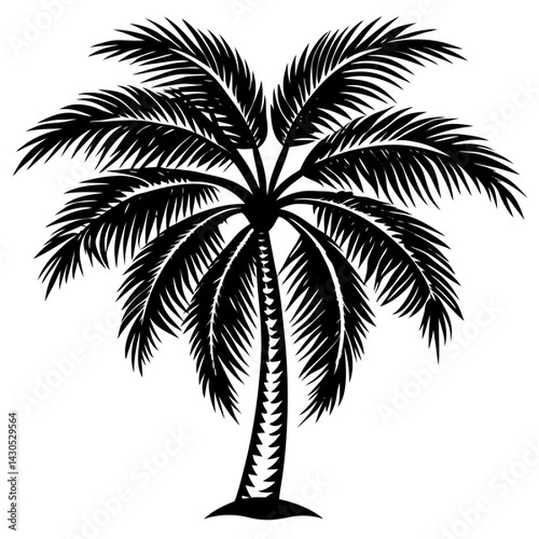 Fototapeta palm tree silhouette