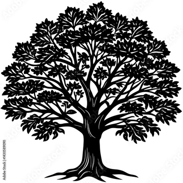 Fototapeta Teak tree