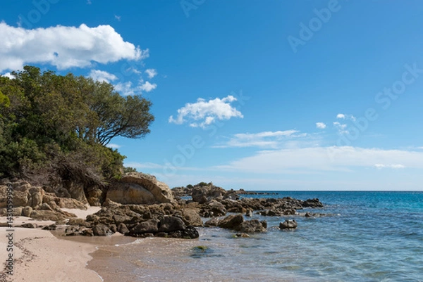 Obraz sea ocean rocky coast stone Corsica